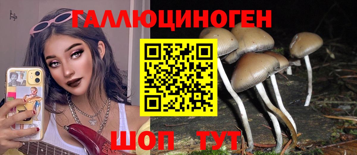 Галлюциногенные грибы Magic Shrooms  Вход с VPN  купить наркотик  Мурманск 