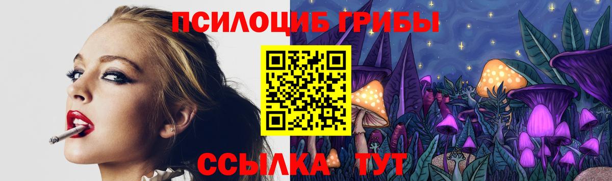Галлюциногенные грибы мухоморы Мурманск